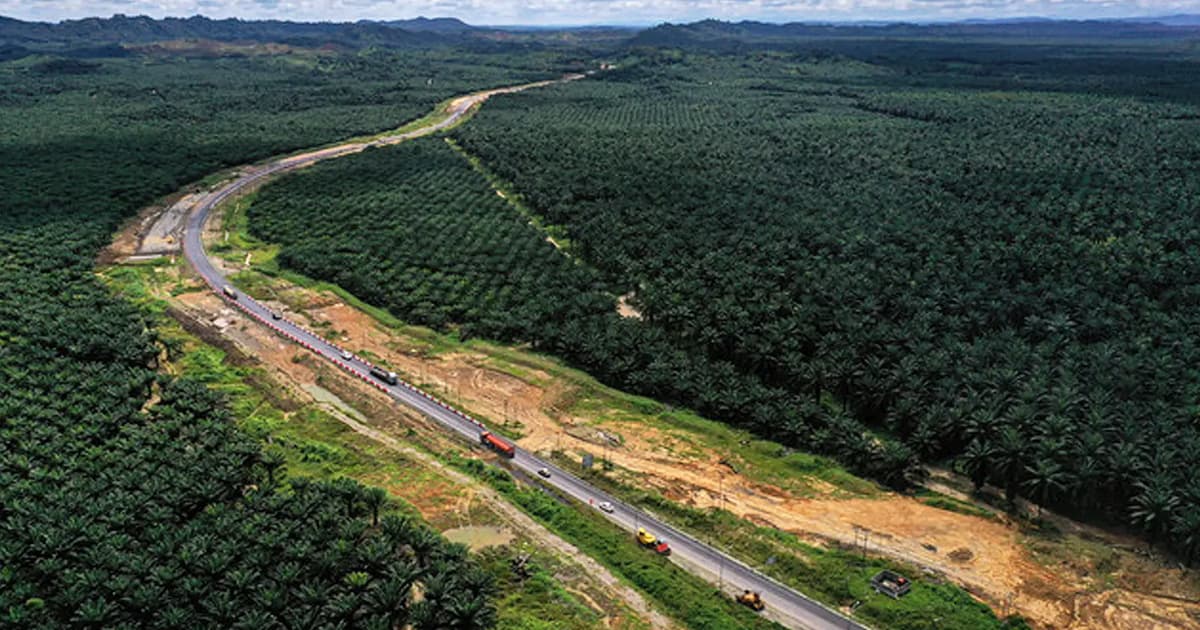 Audit uncovers major governance lapses in Sabah Pan-Borneo project