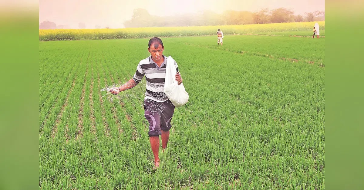 Government may recalibrate fixed costs for state urea producers