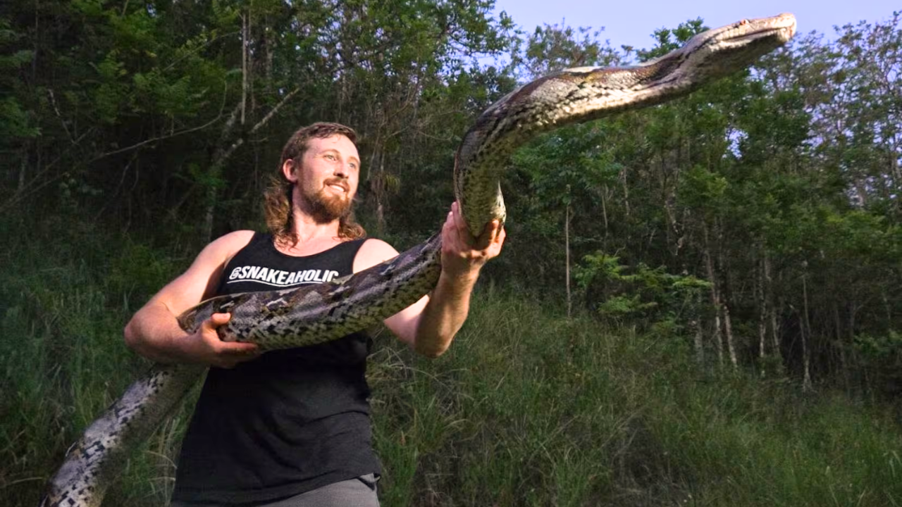 Florida hunter bags record-breaking 18-foot invasive python in Puerto Rico