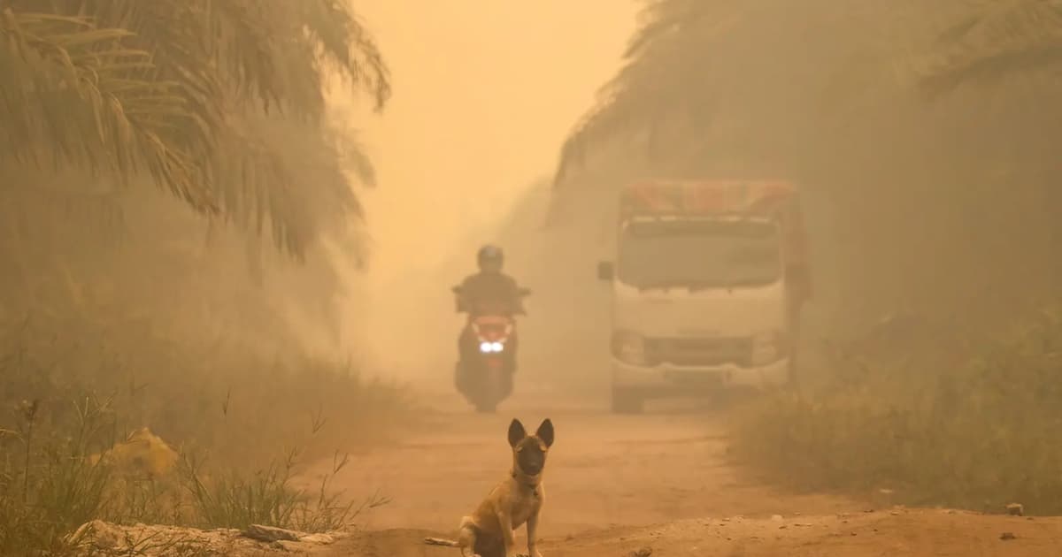 Indonesia dan Malaysia Bekerja Sama Tangani Jerebu Asap