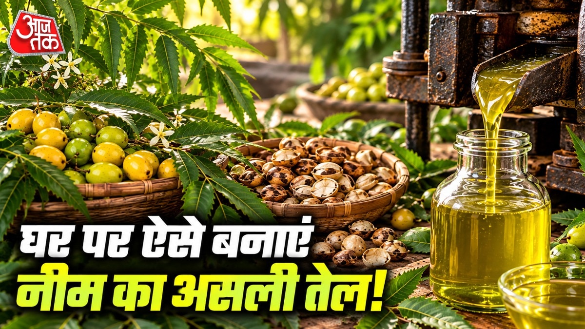 How to Extract Pure Neem Oil at Home, Experts Say