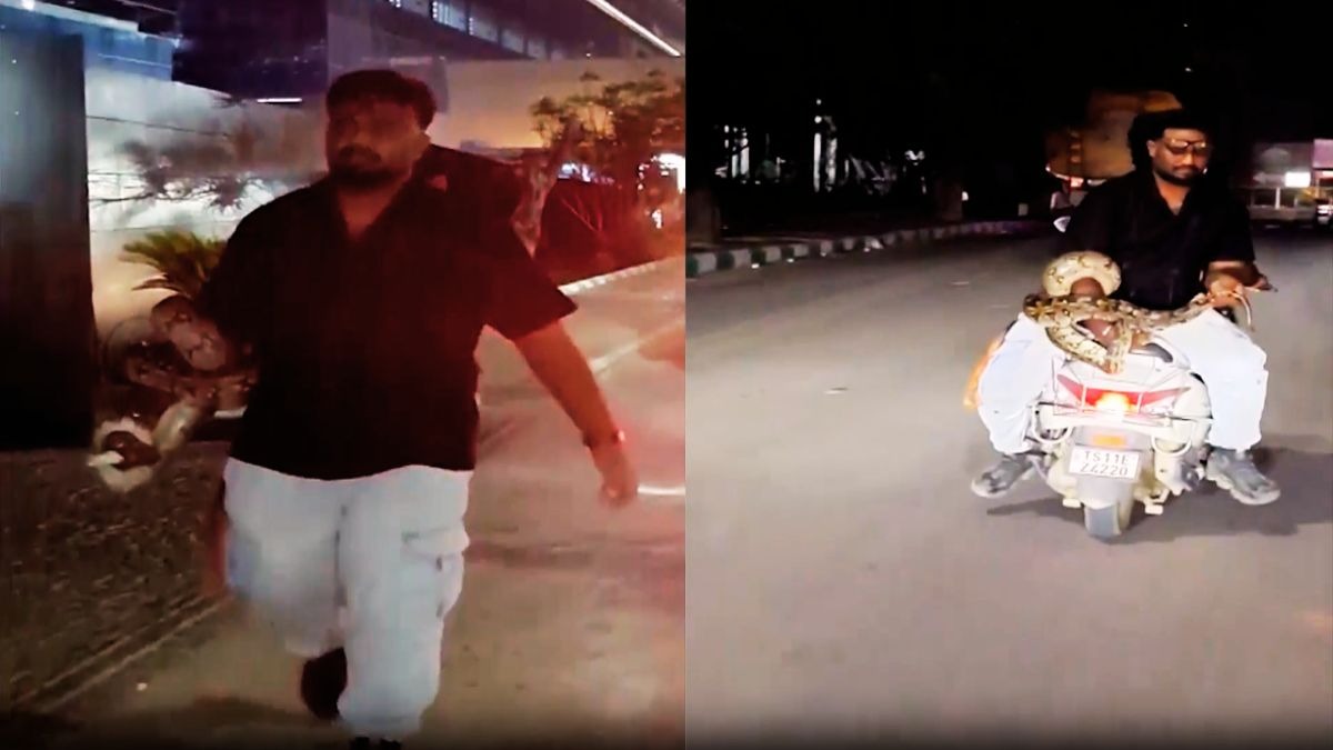 Large python caught and removed from IT company premises in Hyderabad