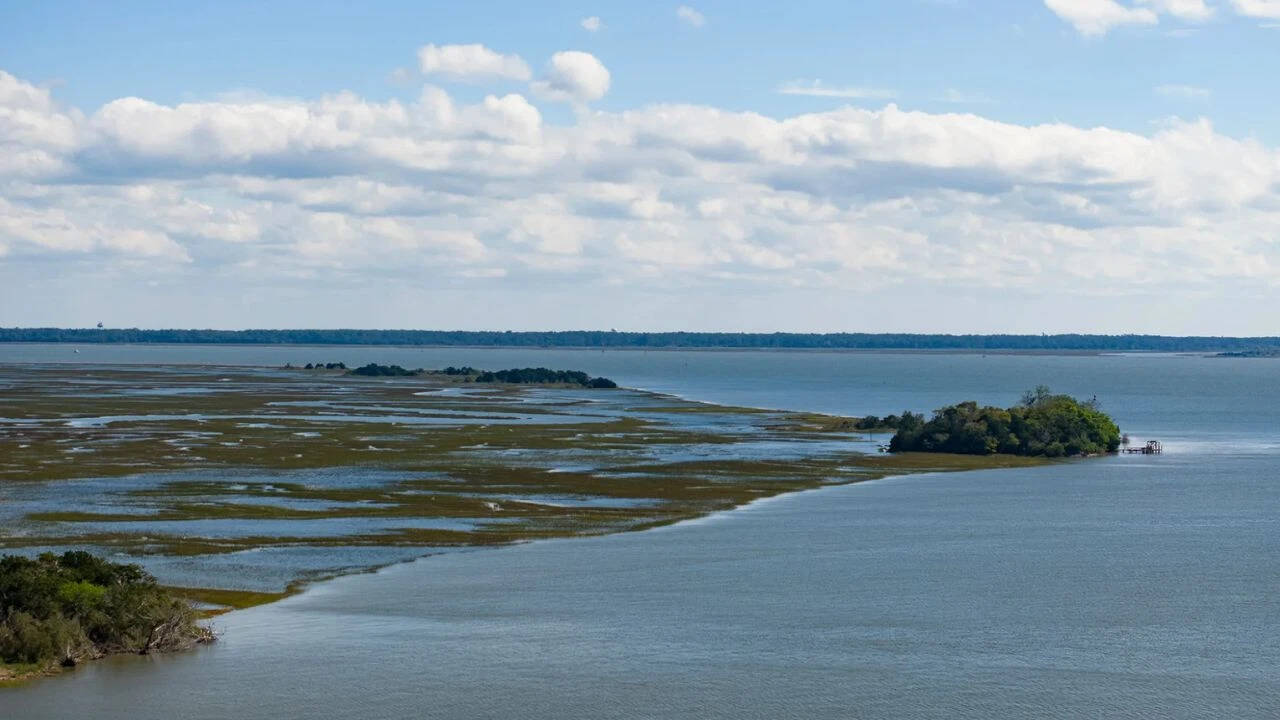 US university awarded $8 million for coastal salt marsh restoration project