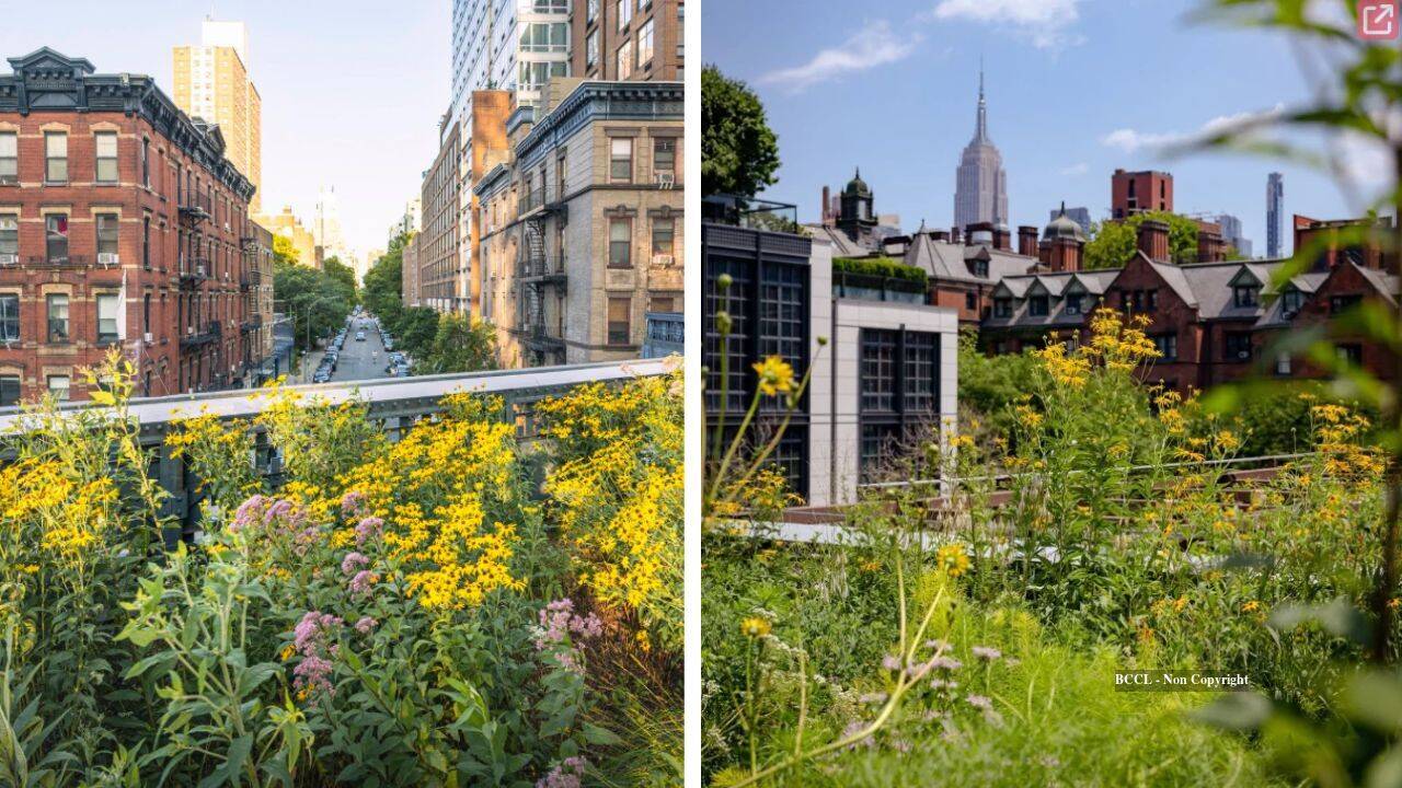 New York's High Line Completes Transformation with Final Garden Opening