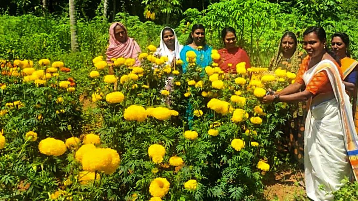 Kerala's Kudumbashree records ₹10 crore from Onam market sales
