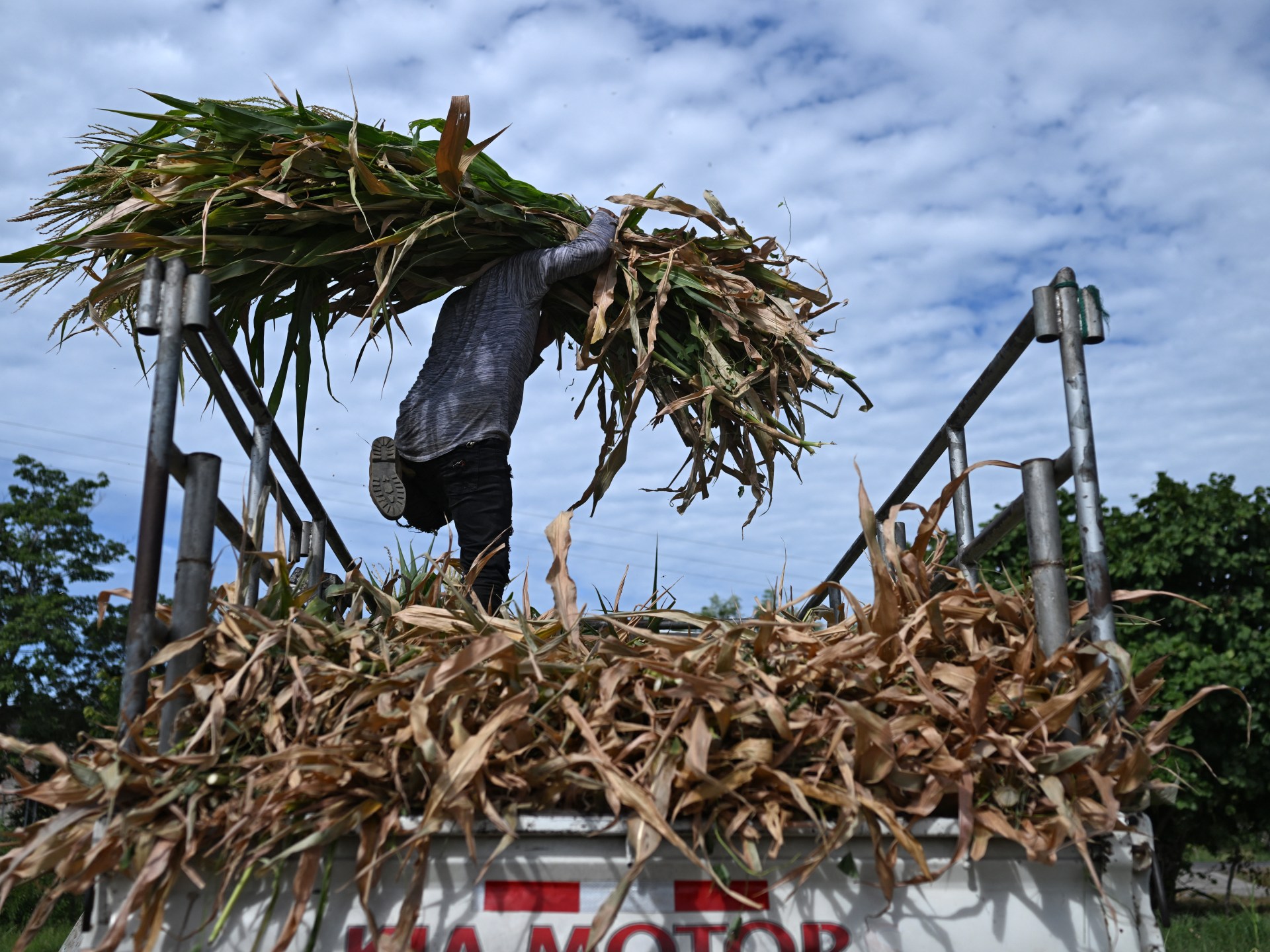 Climate-Supercharged El Niño Could Break Records in 2026-27