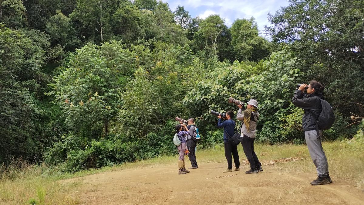Karnataka launches inaugural Rajyotsava Bird Count initiative