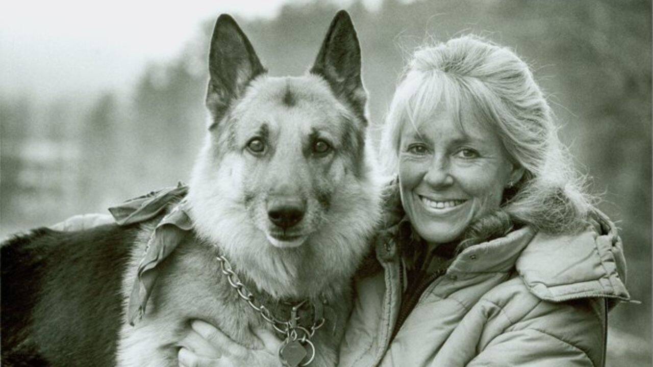 American wilderness pioneer's off-grid cabin legacy inspires global living debate