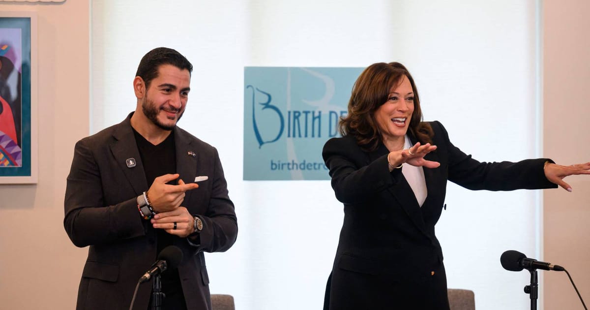 Harris Kembalikan Diri ke Kempen untuk Bantu Calon Demokrat Michigan