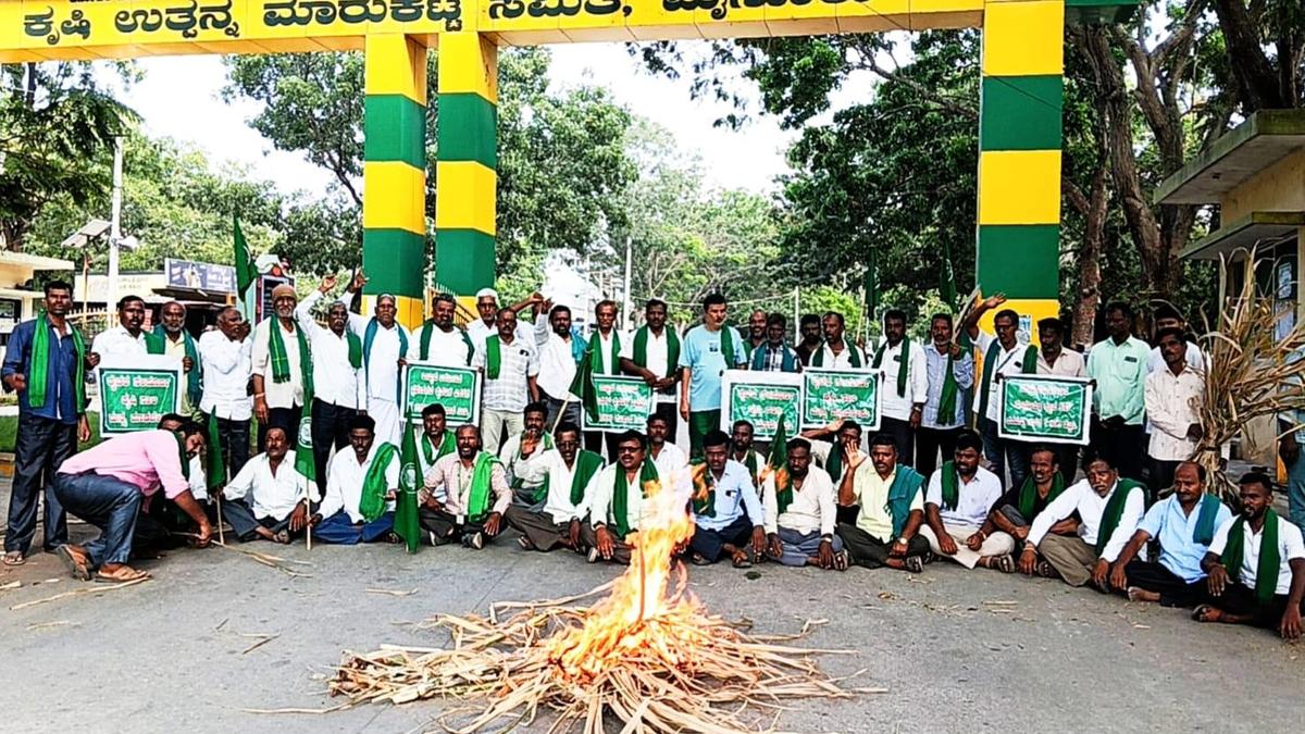 Sugarcane farmers demand faster FRP hike, challenge panel composition