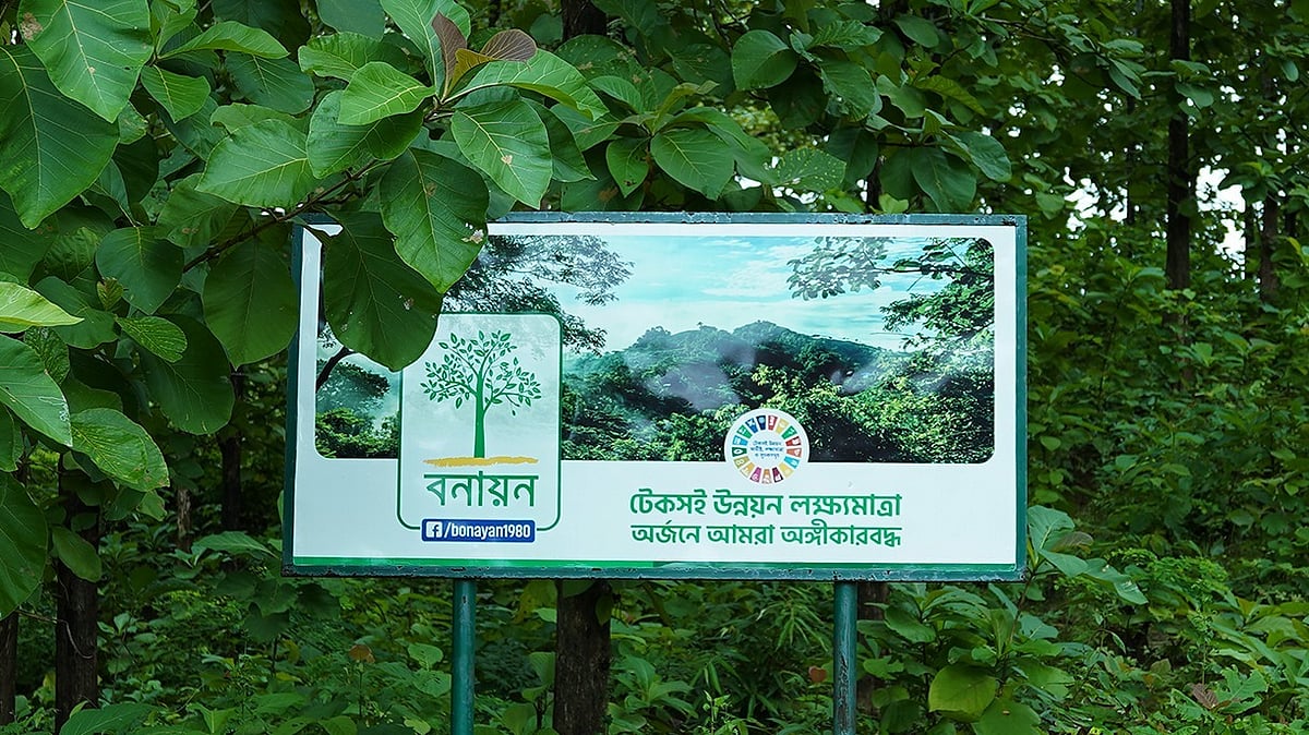 Four decades of environmental stewardship mark regional reforestation milestone