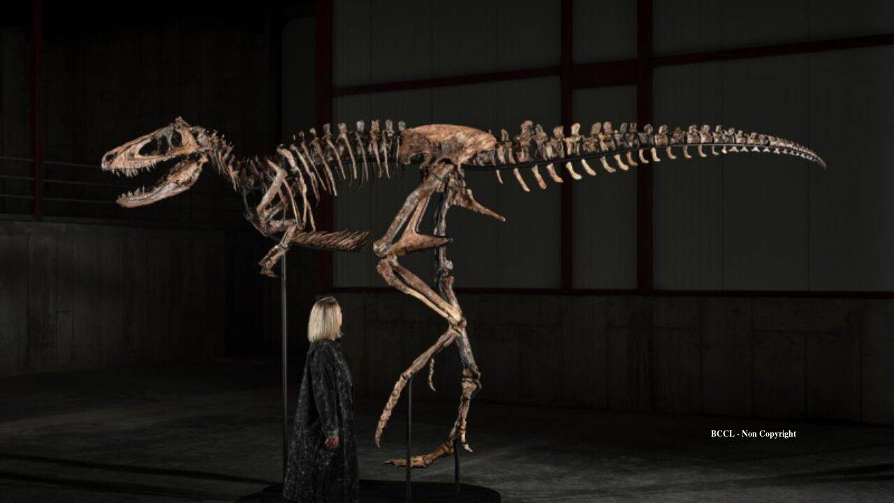Rare dinosaur skeleton to fetch up to $9 million at New York auction