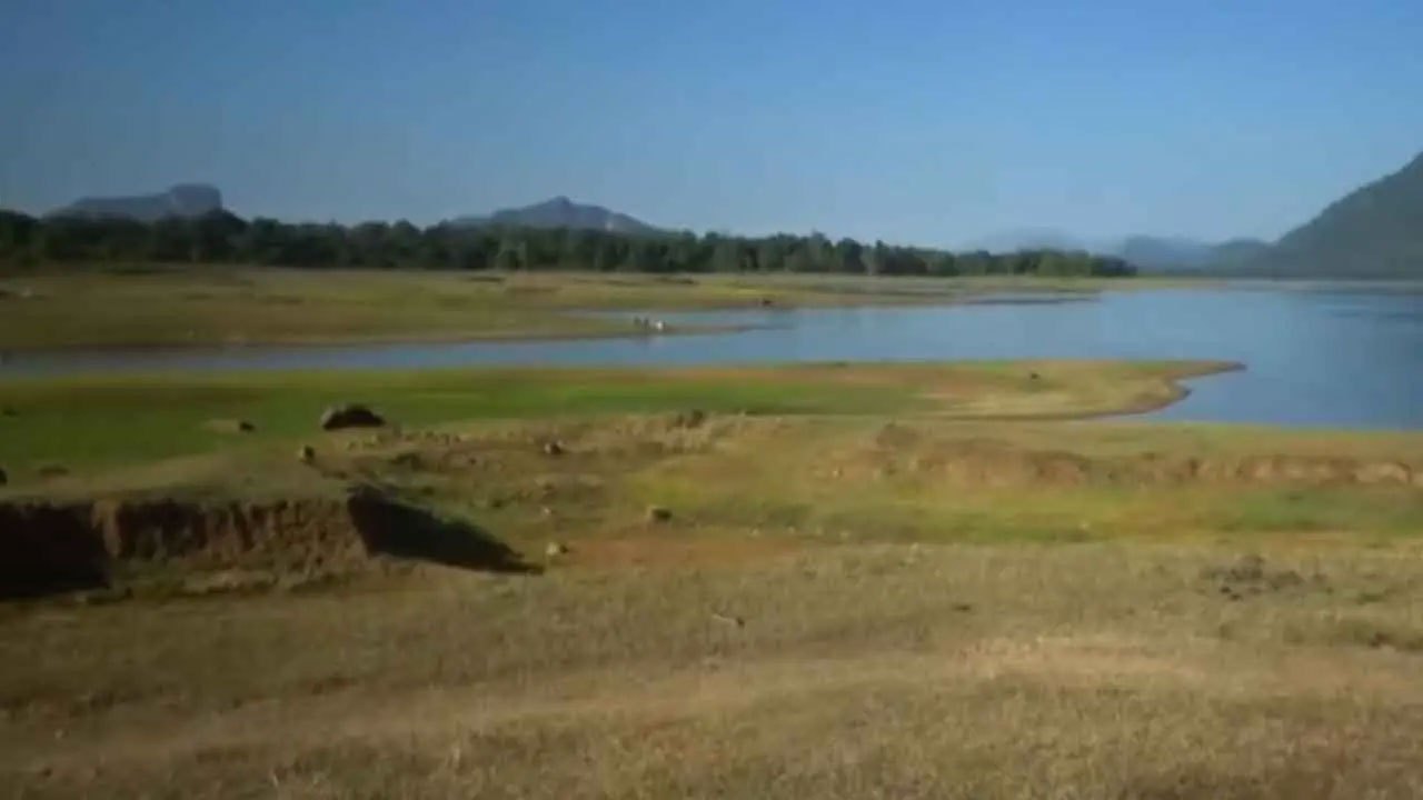 Ampara faces acute water shortage as reservoir capacity plummets
