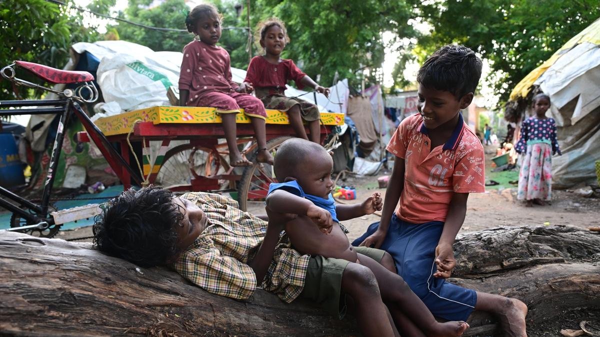 Andhra Pradesh tribal communities battle persistent landlessness and poverty