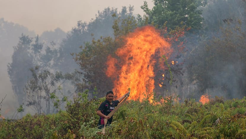 Singapore's haze law untested as legal experts call for stronger enforcement