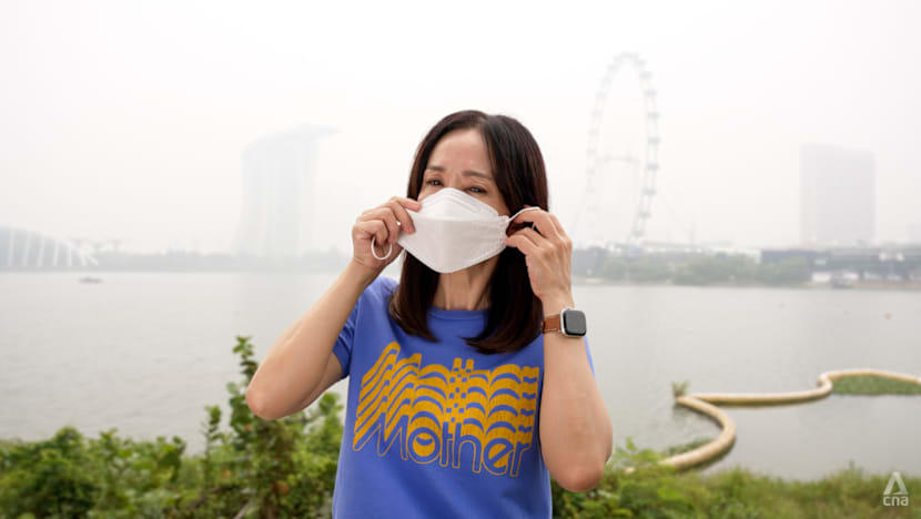 Indoor air quality may not be safer during haze, experts warn