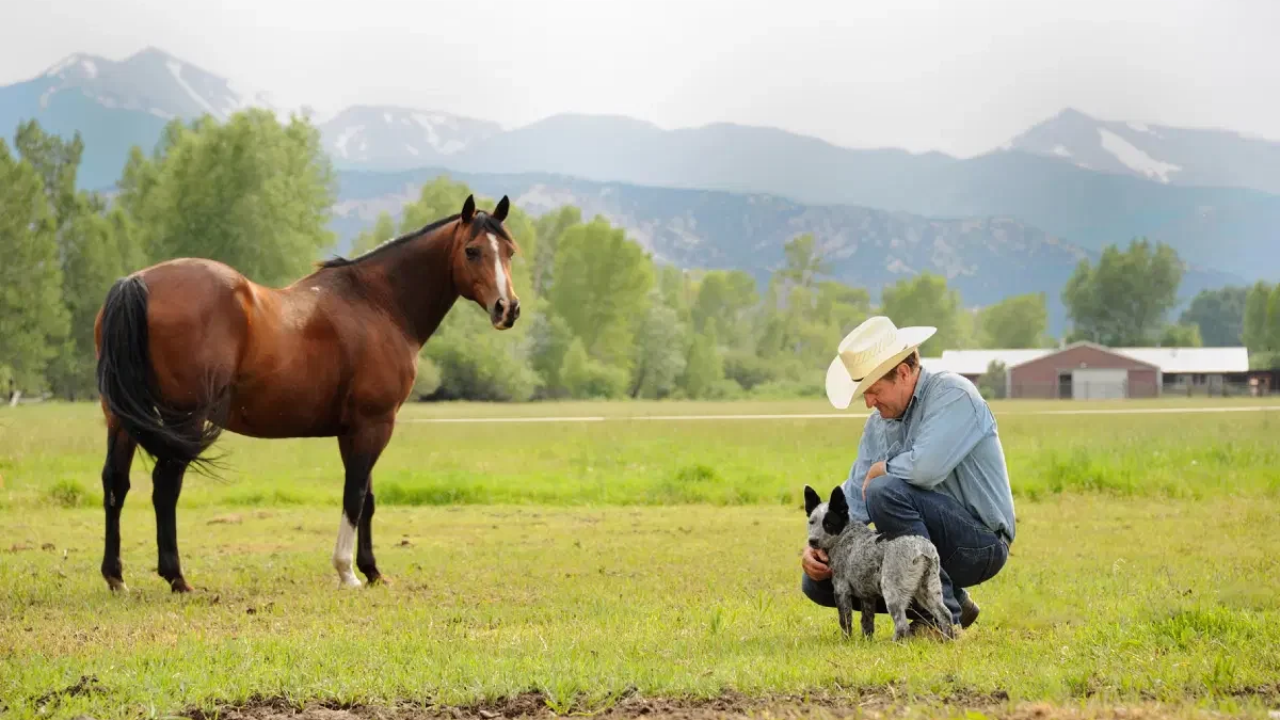 Family ranch preserves 650 acres across six generations in Colorado