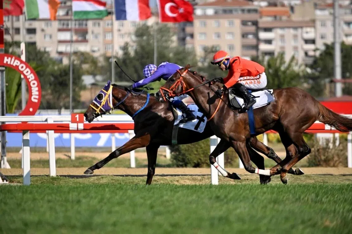 Istanbul's Veliefendi Restaurant Celebrates Turkish Culinary Heritage
