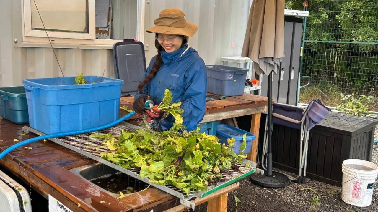 Teen entrepreneur launches food waste rescue initiative across India