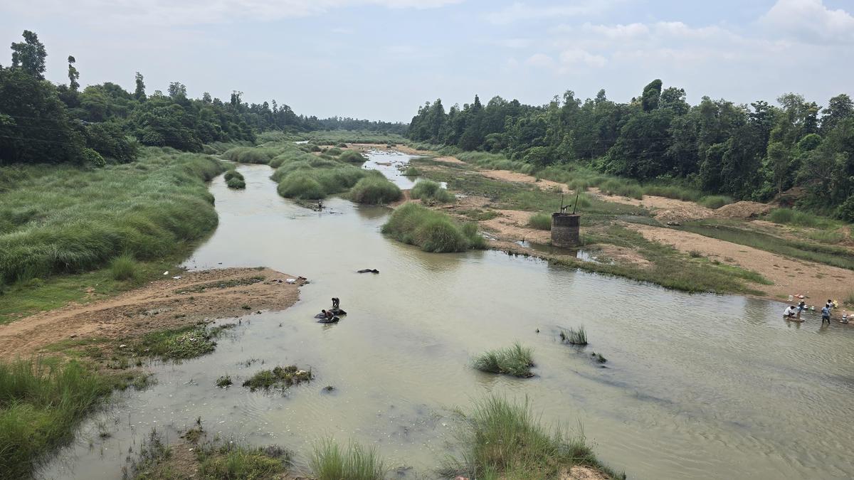 Rainfall surge boosts agricultural prospects in Parvatipuram-Manyam