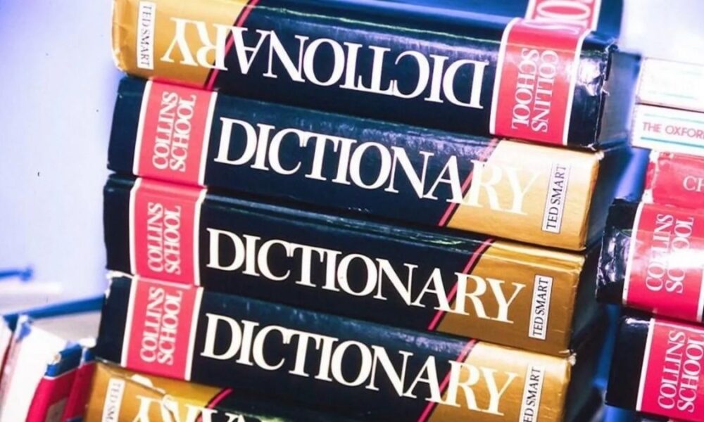 'Maxxing' crowned Dictionary.com's word of the year for 2026