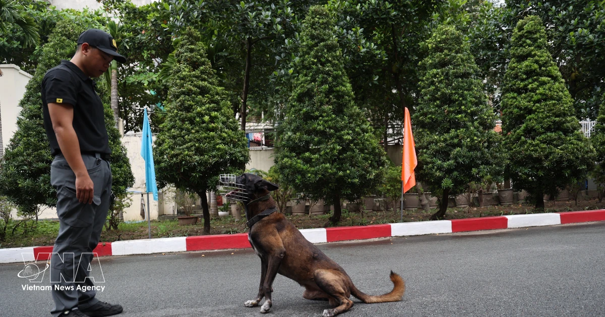 Trained security dogs enhance protection at major regional events