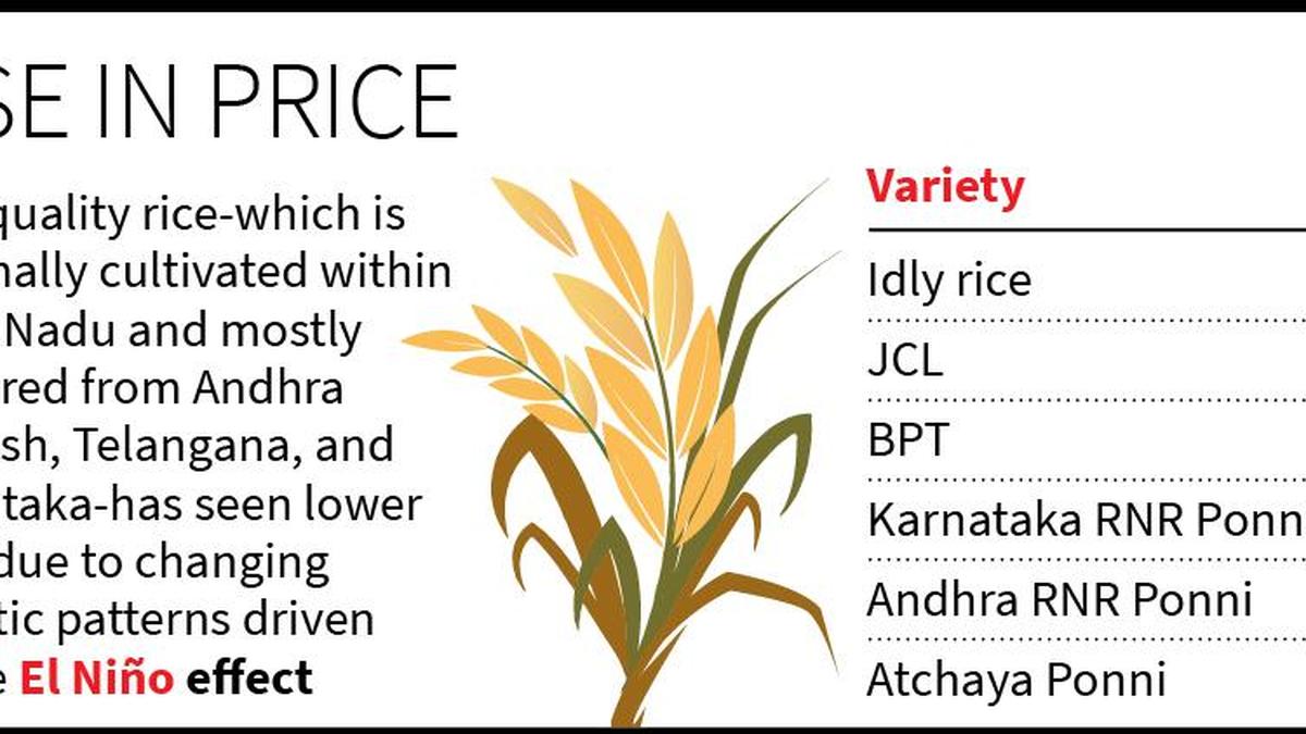 तमिलनाडु के चावल मिल मालिकों ने अफवाहों के बीच आतंक खरीदारी न करने की अपील की