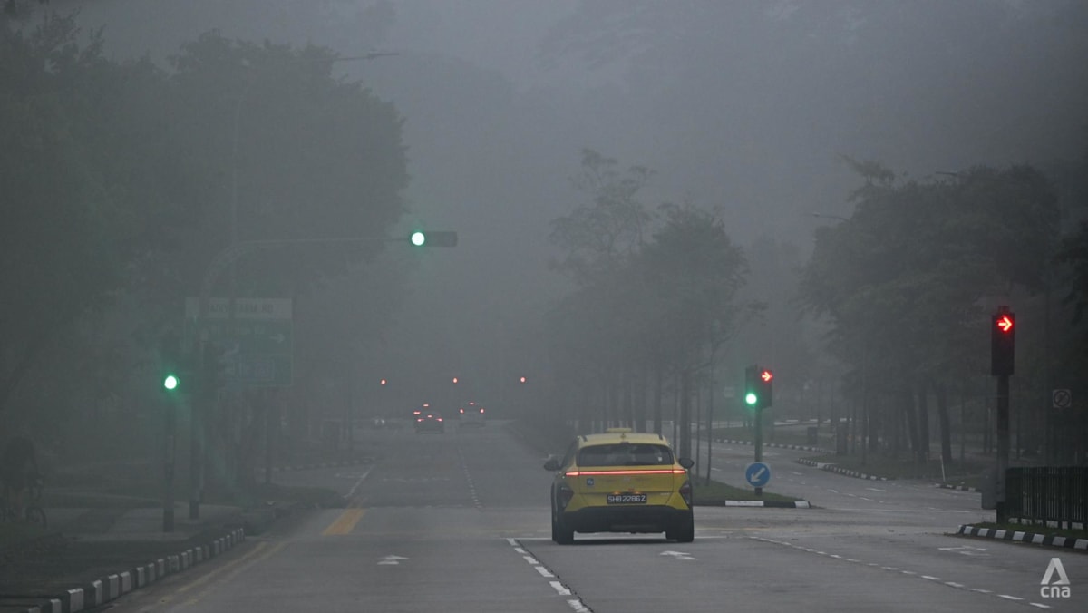Singapore's air quality slides into unhealthy range as PM2.5 spikes
