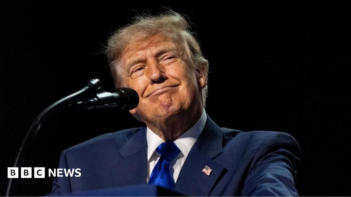 Experts Question Trump's $5,000 Payment Pledge to Americans