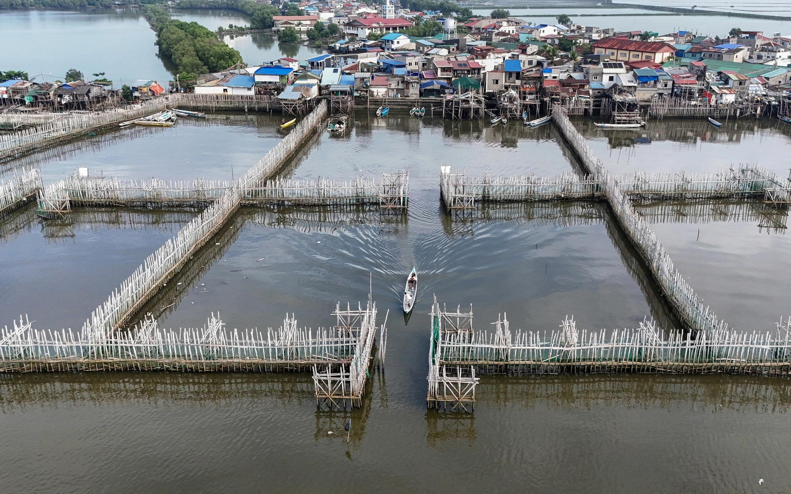 Pulau Pamarawan lawan kenaikan paras laut dengan penyelesaian semula jadi