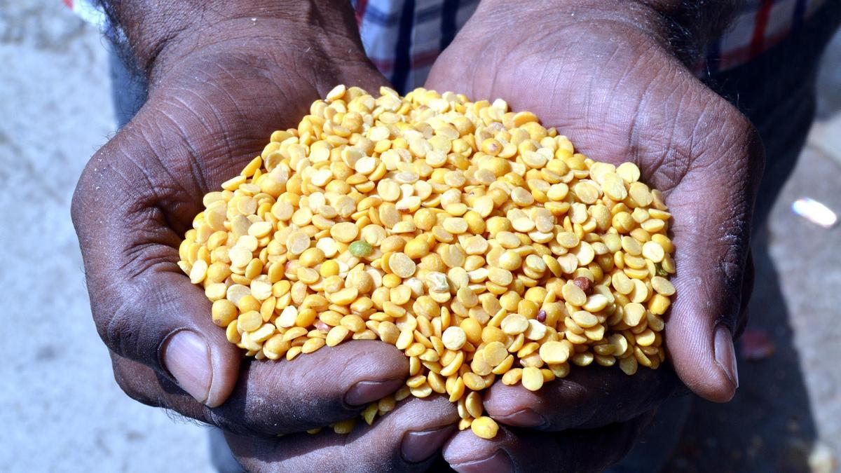 Kalaburagi's GI-tagged tur dal gains PM recognition after Maldives shipment
