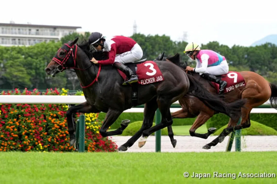 Flicker Jab claims victory in Centaur horse racing classic