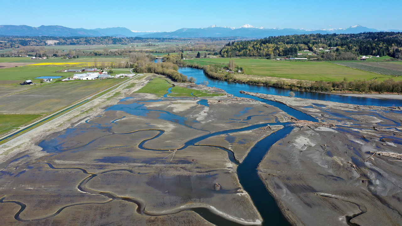 US coastal restoration project revives salmon habitat through dike removal