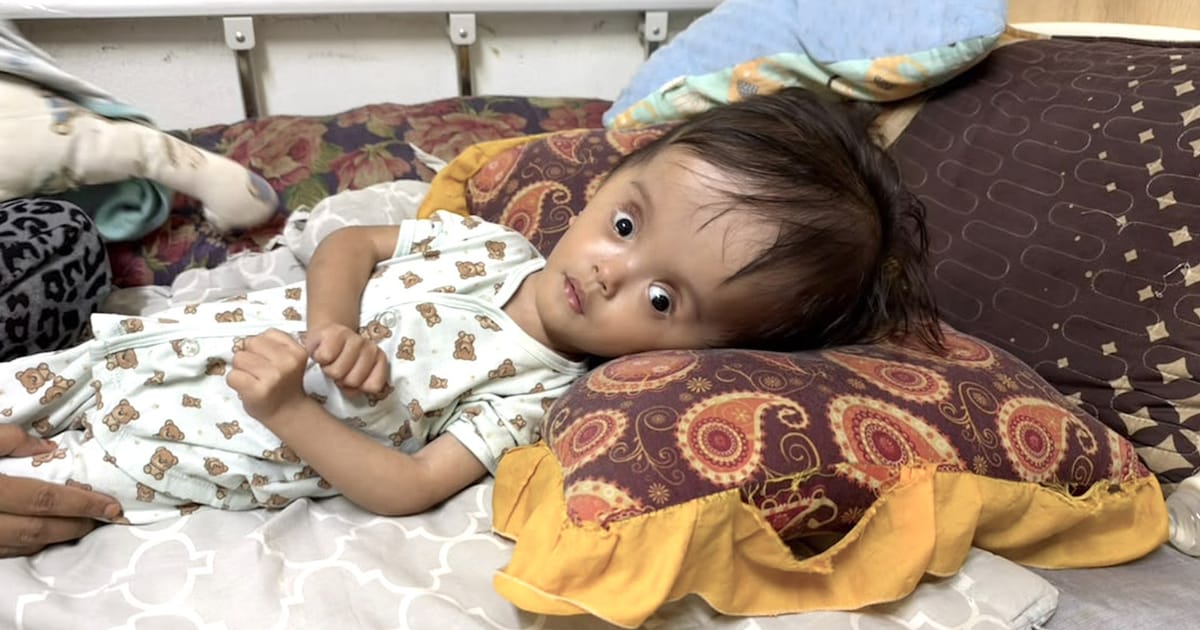 Ibu Tunggal di Kedah Pohon Bantuan untuk Anak Berusia Dua Tahun