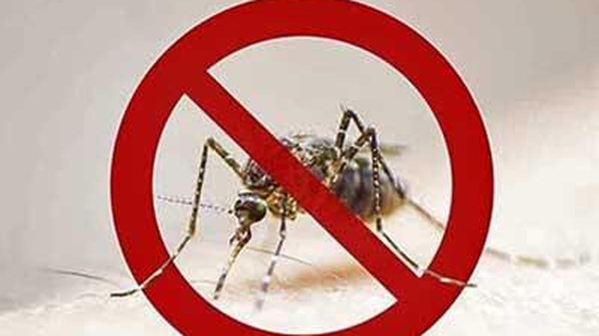 Kerala grapples with rising malaria cases as experts call for action