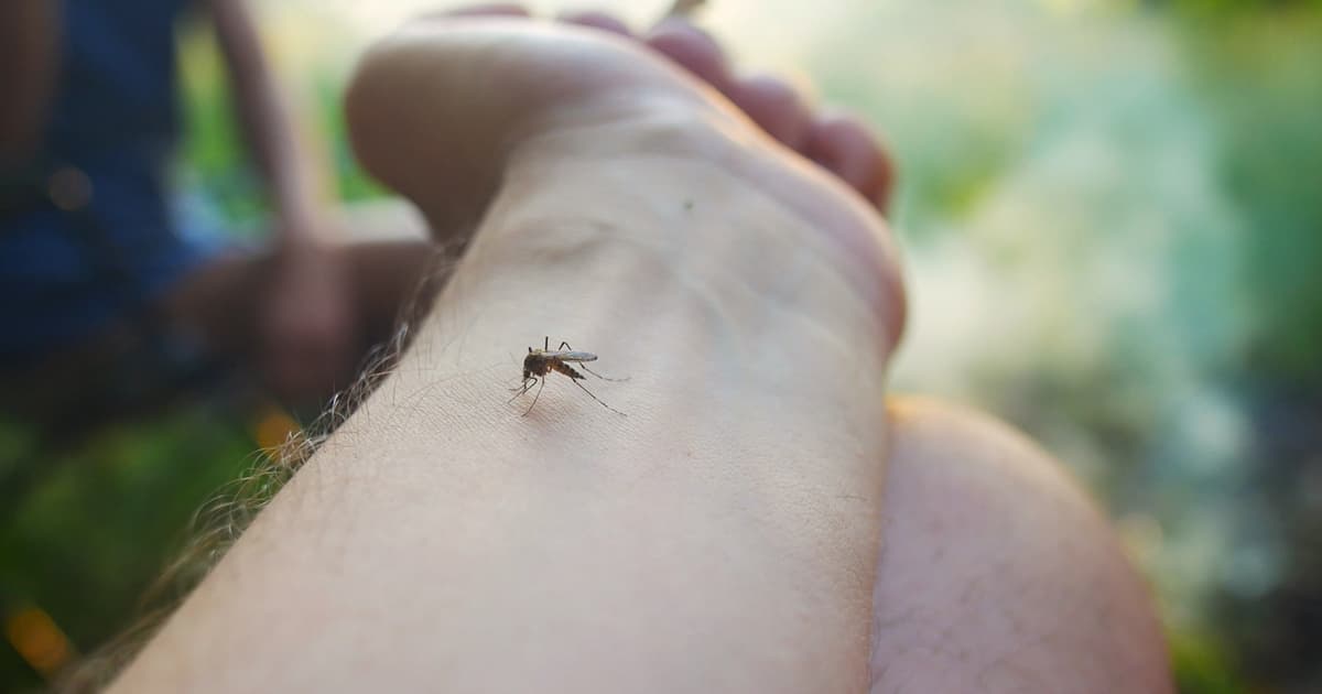 Virus Nile Barat Dikesan di 12 Negara Eropah