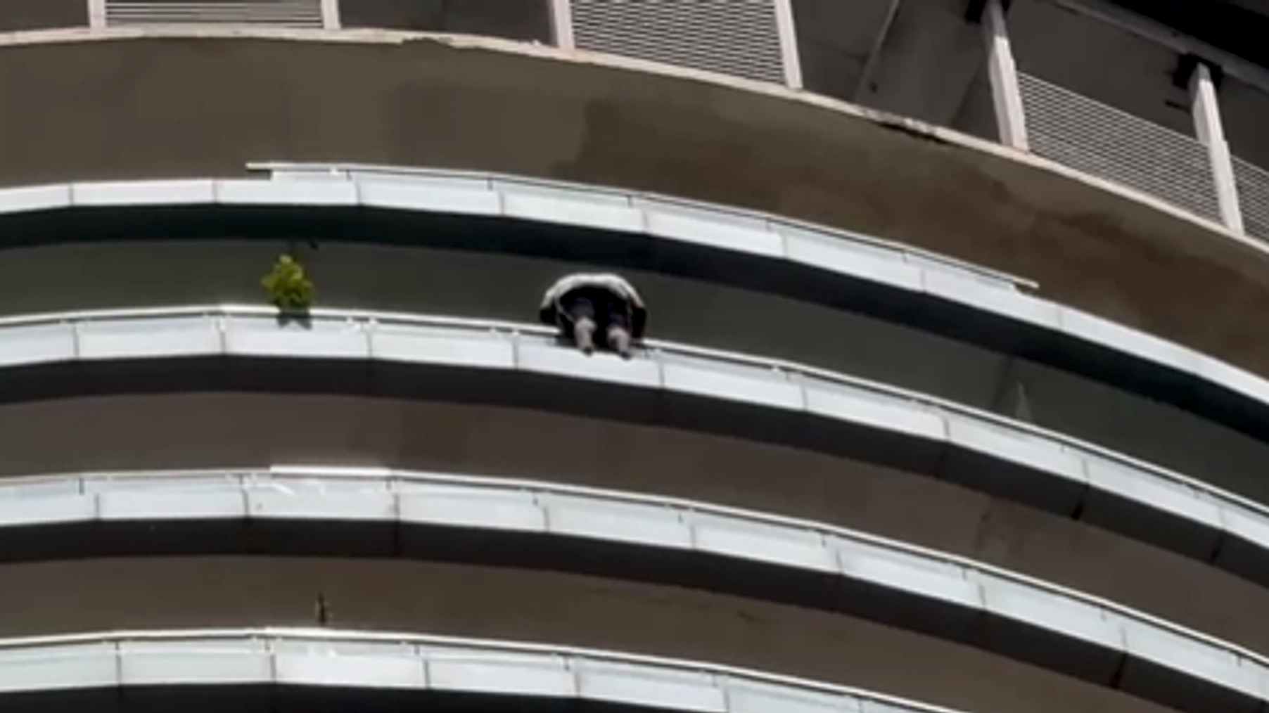Man dies after jumping from 43rd floor of residential tower in Noida