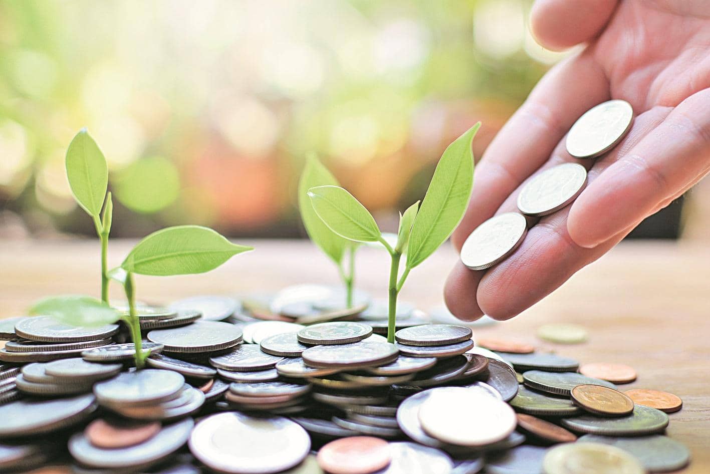 Direct mutual fund plans gain traction among long-term SIP investors
