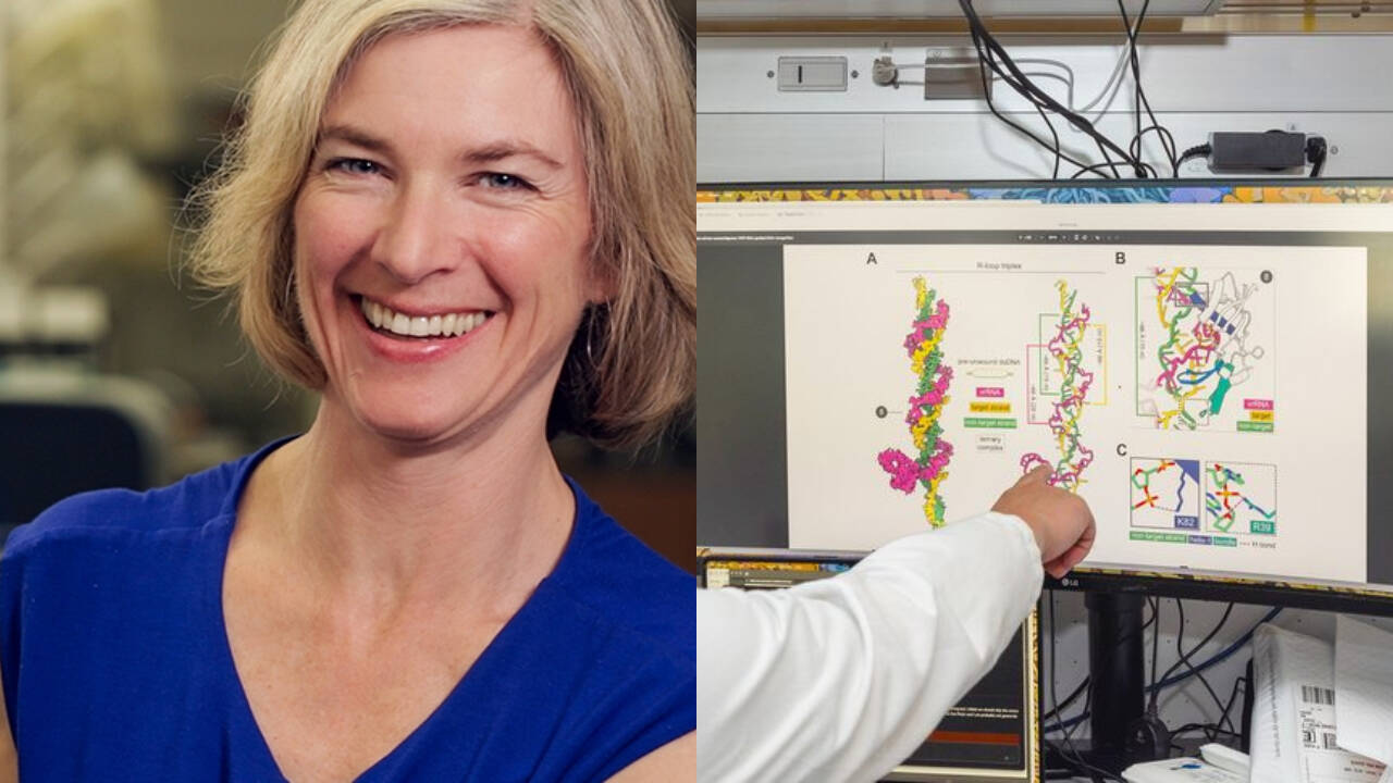 Scientists discover ancient CRISPR variant with distinctive DNA gaps