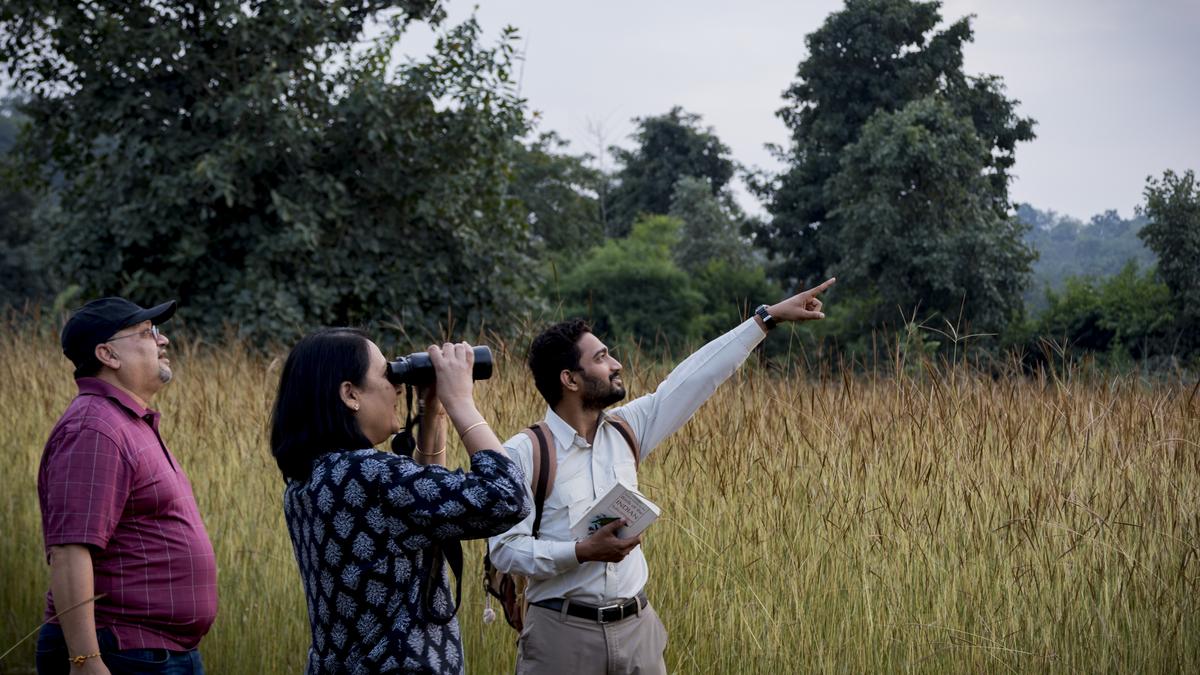 Bandhavgarh's tiger tourism evolves toward conservation-minded practices