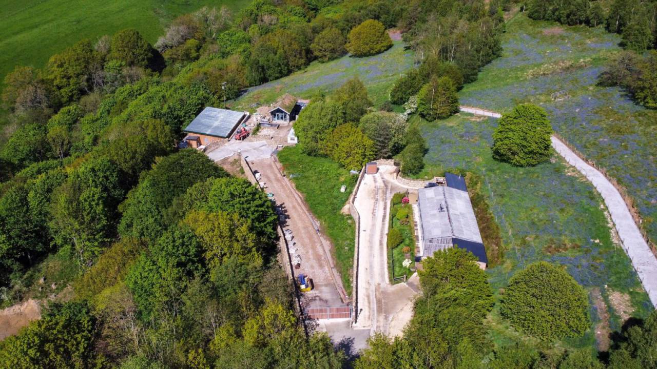 Turkish firm ordered to demolish unlawful holiday homes in ancient English woodland