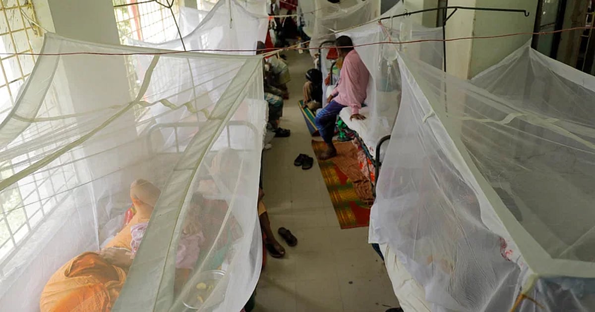 September dengue deaths exceed total for preceding eight months
