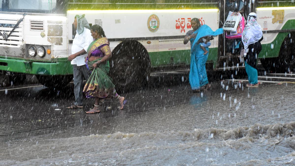Telangana braces for dengue surge as week-long rainfall expected