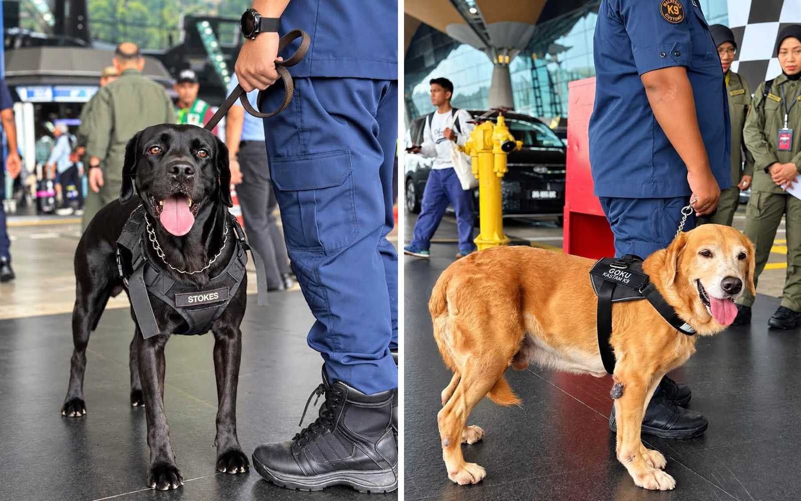 Unit K9 Diperkuat di Terminal KLIA Mulai 26 Oktober