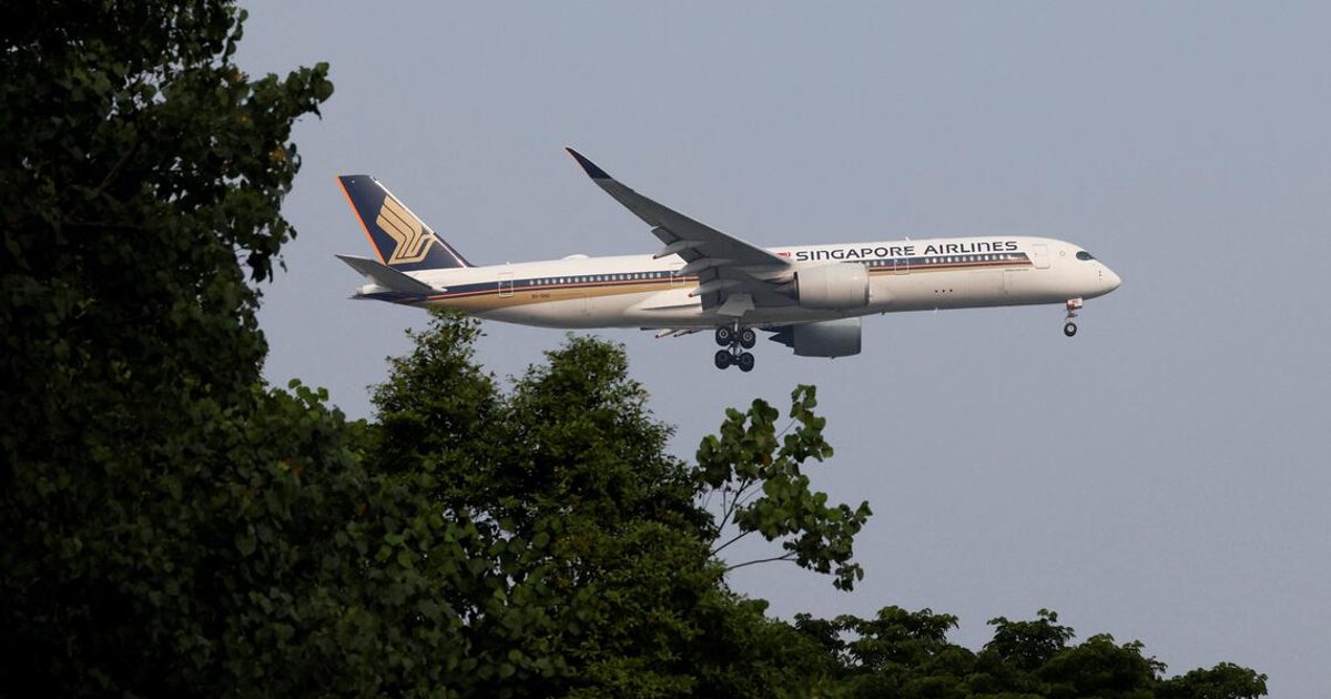 Temasek's Lee, Carlsberg's Poulsen join Singapore Airlines board