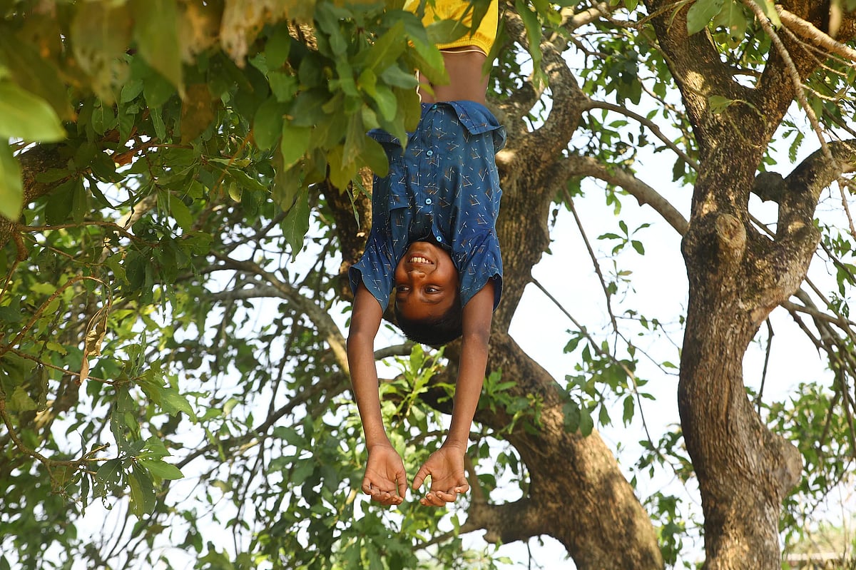 দুপুরের সময় শহরে অপ্রত্যাশিত ঘটনা: নাগরিক জীবনে আলোড়ন সৃষ্টি