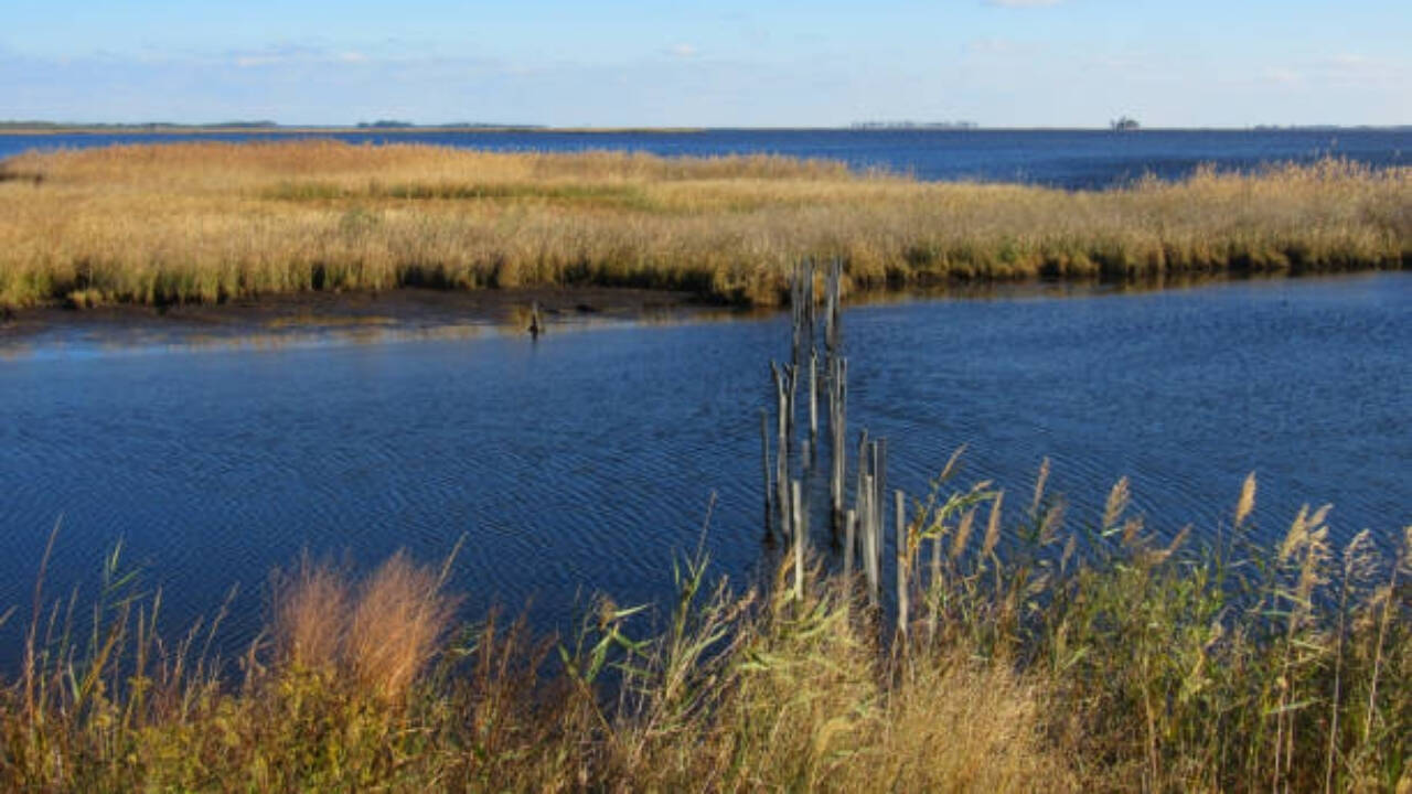 Historic Wildlife Refuge Created From Aviation Pioneer's Land Donation