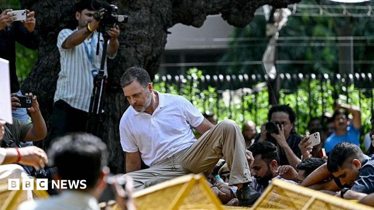Indian Opposition MPs Detained During Election Commission Protest