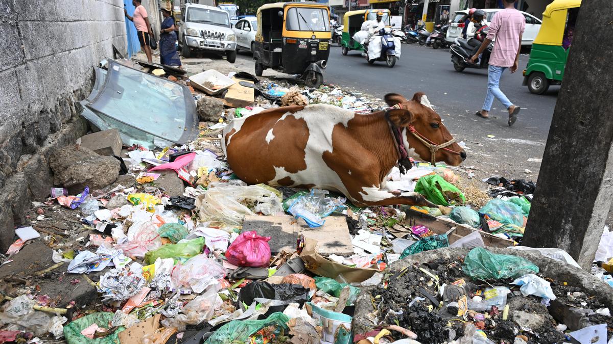 पीवीआर इनॉक्स और फोरम मॉल को कचरा प्रबंधन के उल्लंघन पर 1.25 लाख का जुर्माना