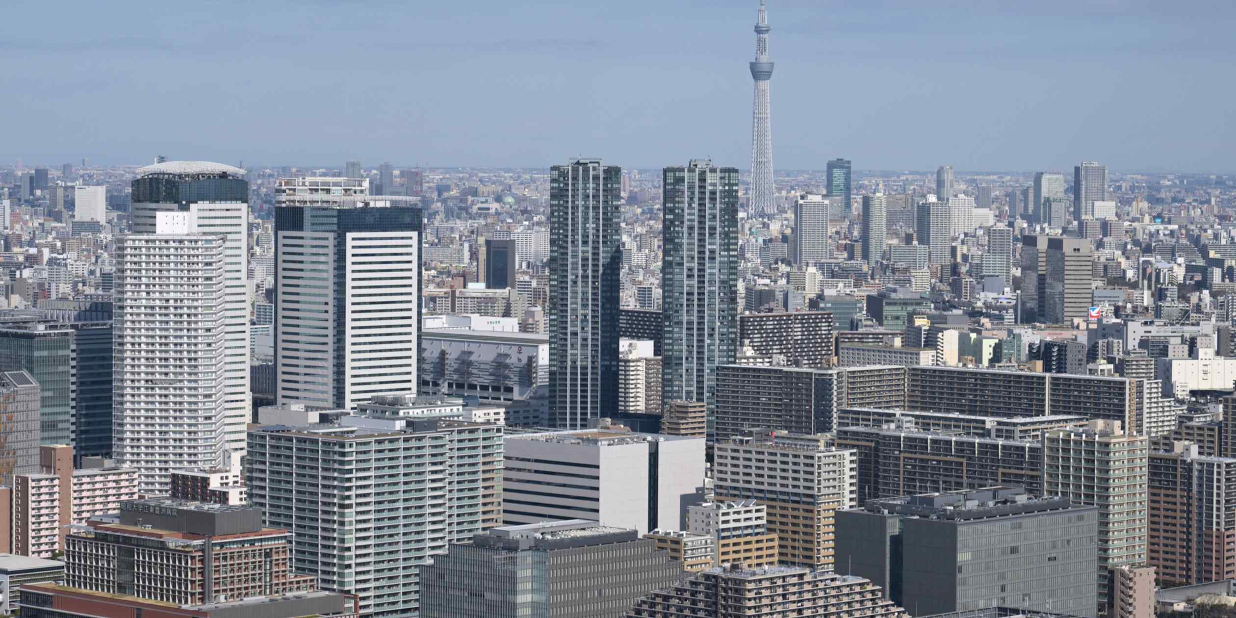 Japan's life insurers shift toward higher-yielding government bonds
